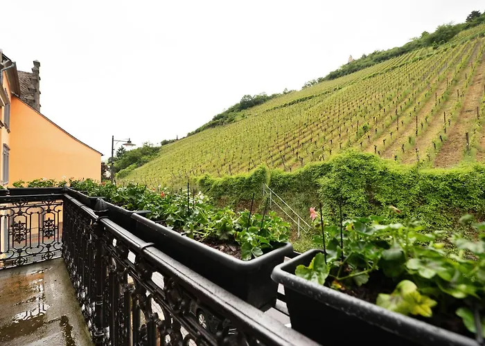 Alte Stadtvilla Am Weinberg 3