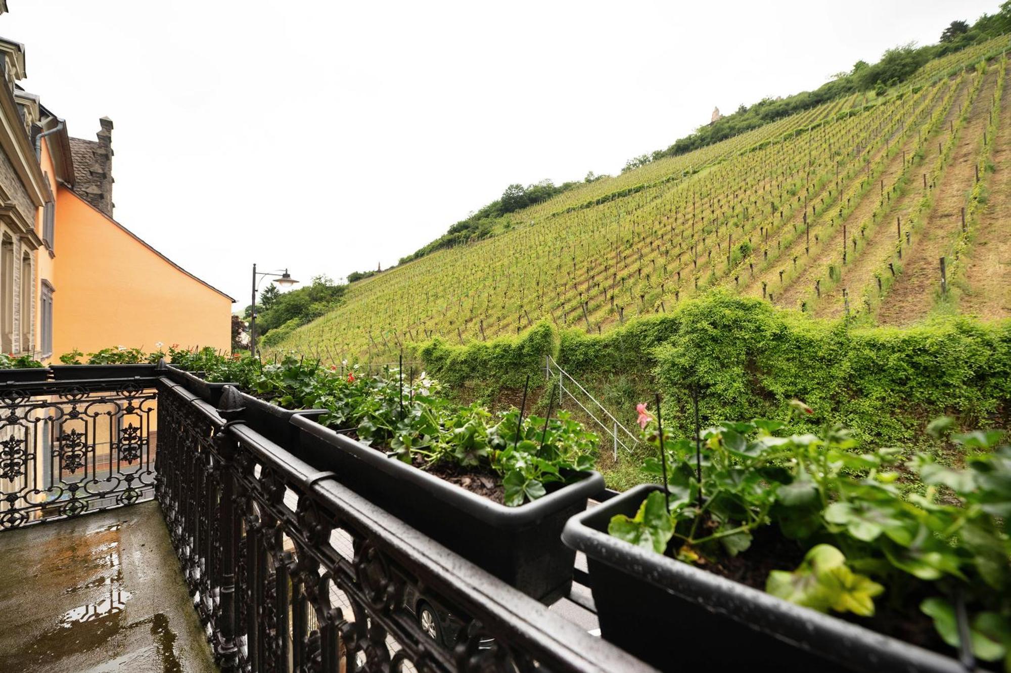 Apartment Alte Stadtvilla Am Weinberg 3 *